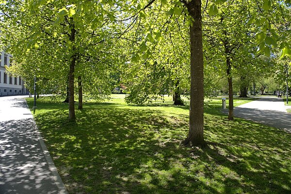 Kantonsschule am Burggraben - Versickerungsmulde im Kantipark