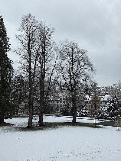 Kantonsschule am Burggraben - Fürs UG